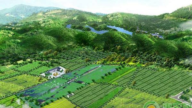 合作社分红比例如何确定？关键因素解析