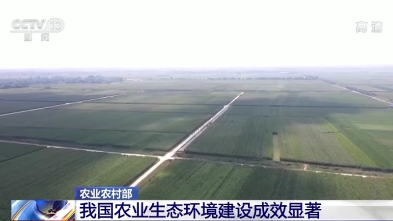 蔬菜溯源系统：守护食品安全，揭秘价格背后的秘密