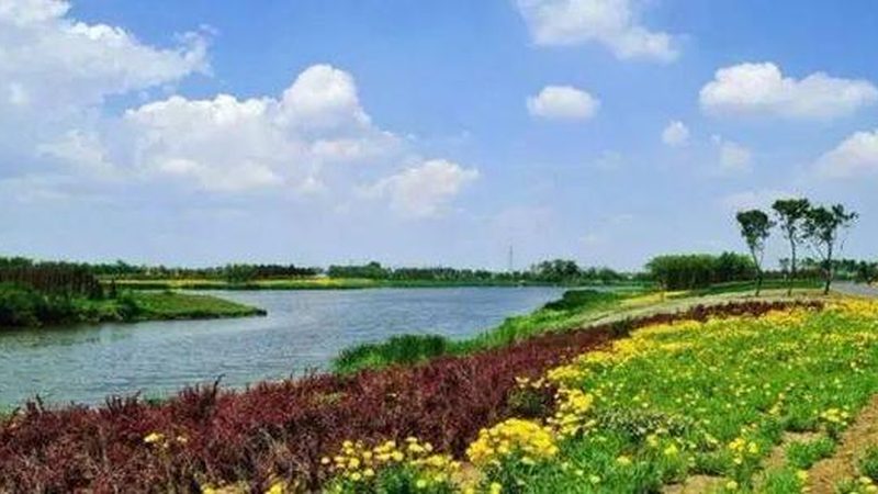 农资批发价格：揭秘影响价格的关键因素**