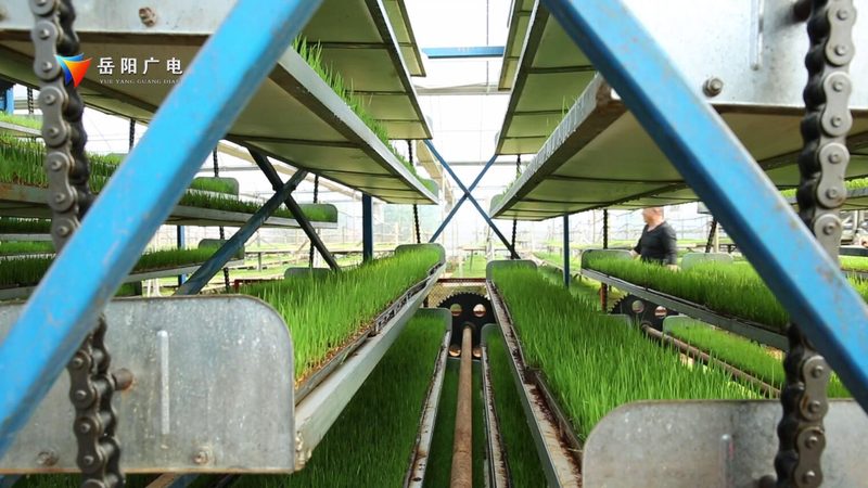生鲜配送供应链管理规范最新版：构建高效冷链保障