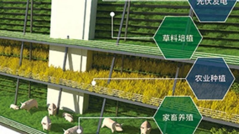 在衡量粮食种植承包价格时，可以从以下几个方面进行考虑：