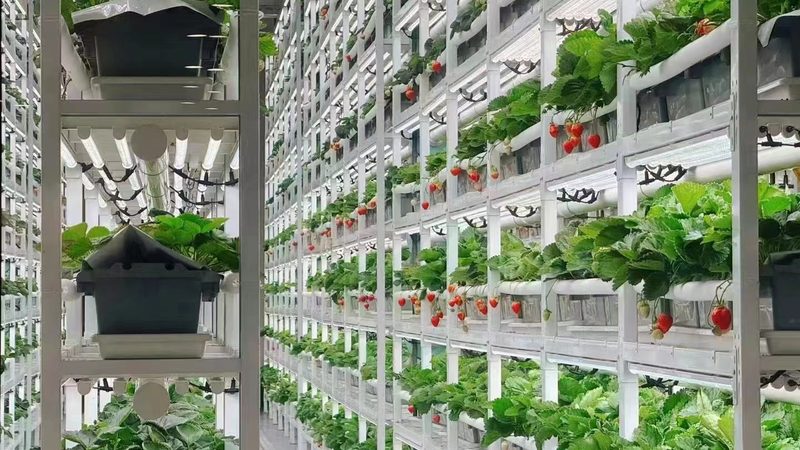 农业项目材料清单，如何精准选型？**